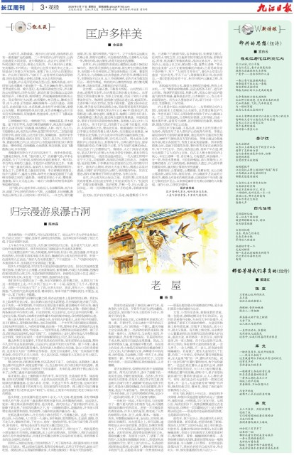 第A03版:花径